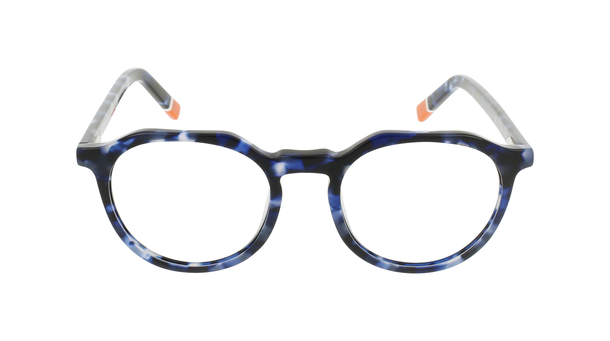 000110570802__Blue_20Tortoise_01