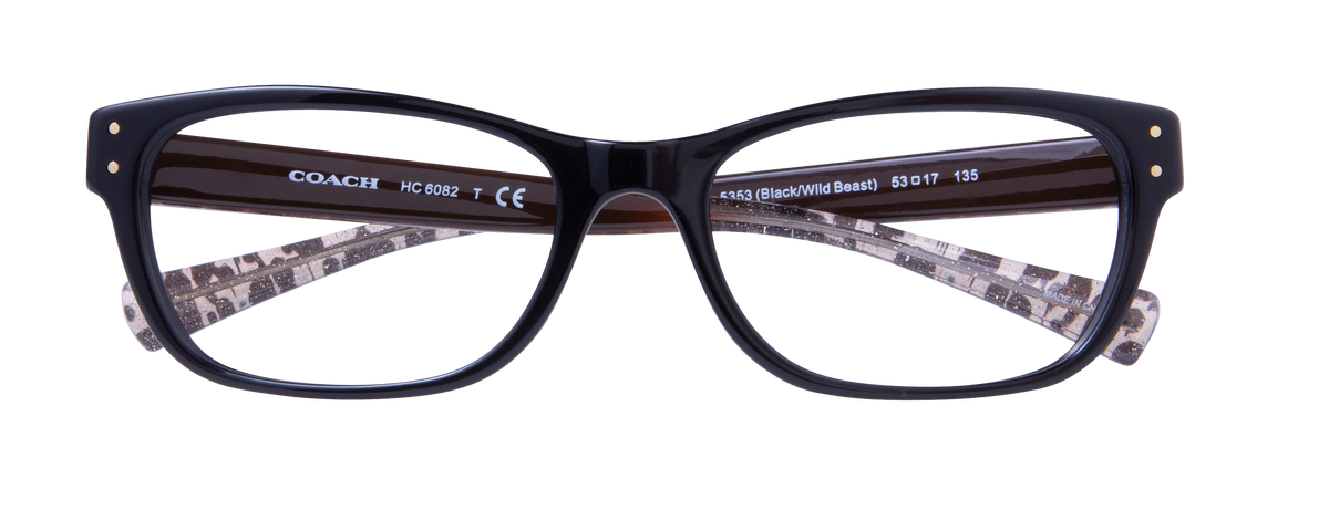000265507849__Black-Tortoise_01