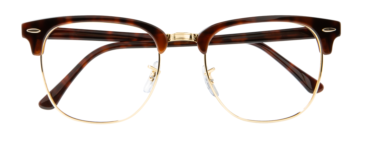 000268302268__Tortoise-Gold_01