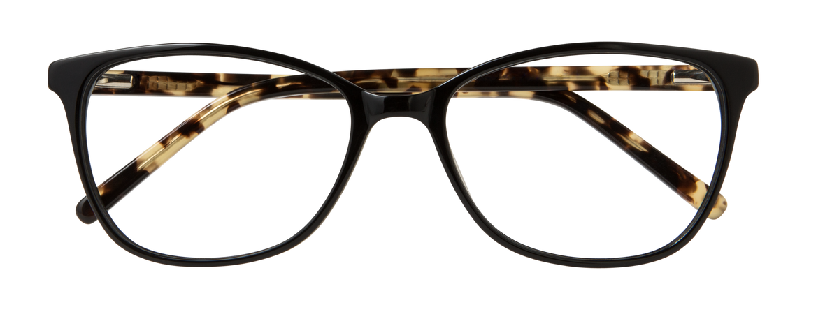 000440582050__Black-Tortoise_01