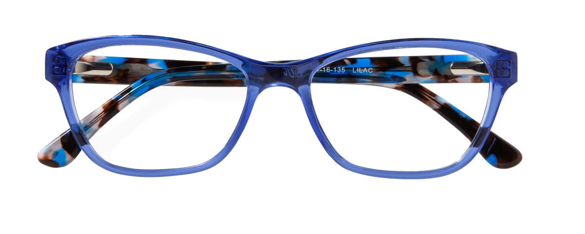 000445137646__Purple-Tortoise_01