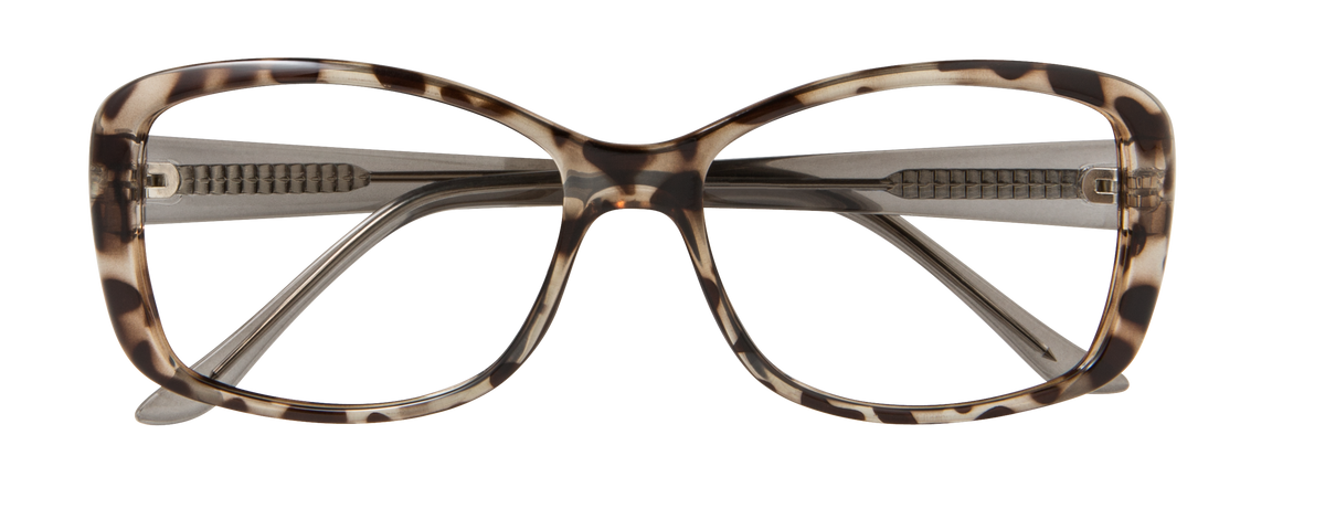 000445220360__Grey-Tortoise_01