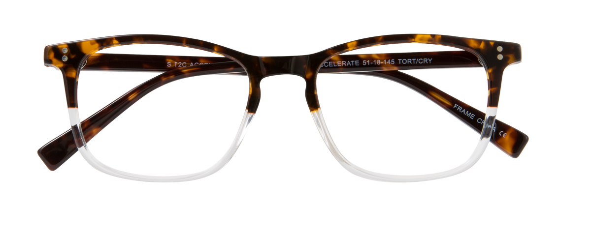 000449690336__Tortoise-Clear_01
