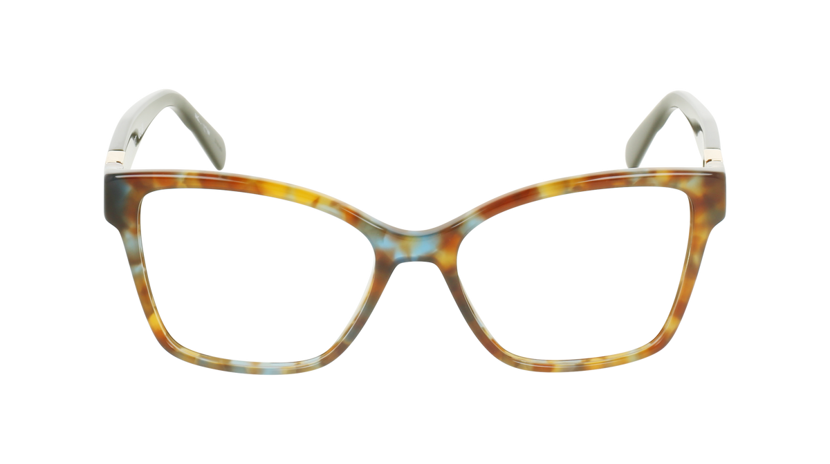 000725205142__Brown-Tortoise_01