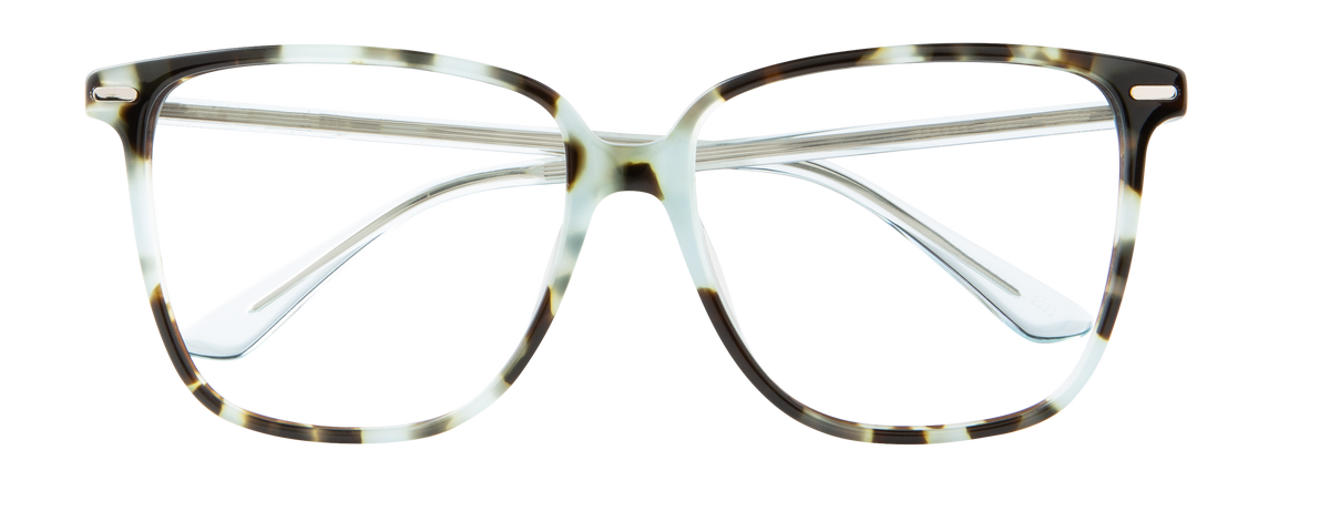 000726766828__Blue-Tortoise_01